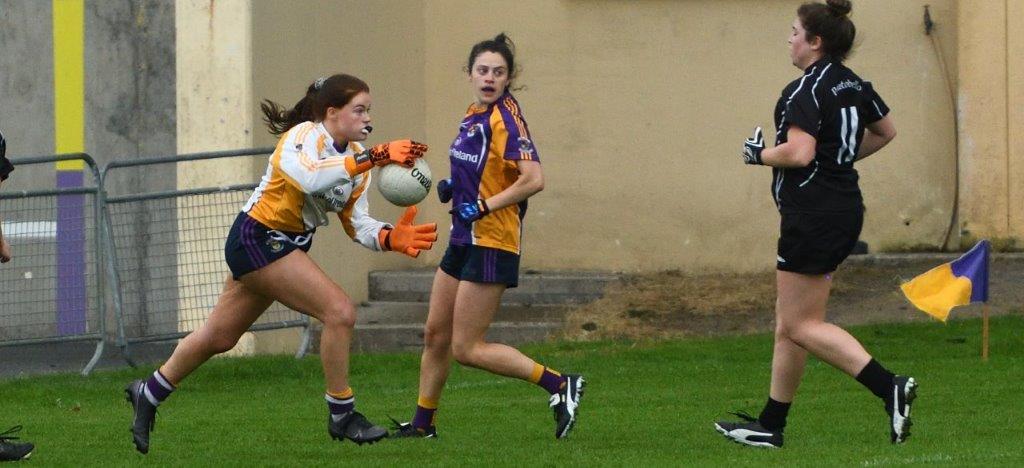 Ladies Football Junior B Championship Kilmacud Crokes Versus Portobello