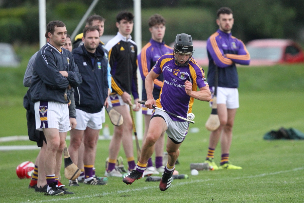 Intermediate hurling team vs St Maurs