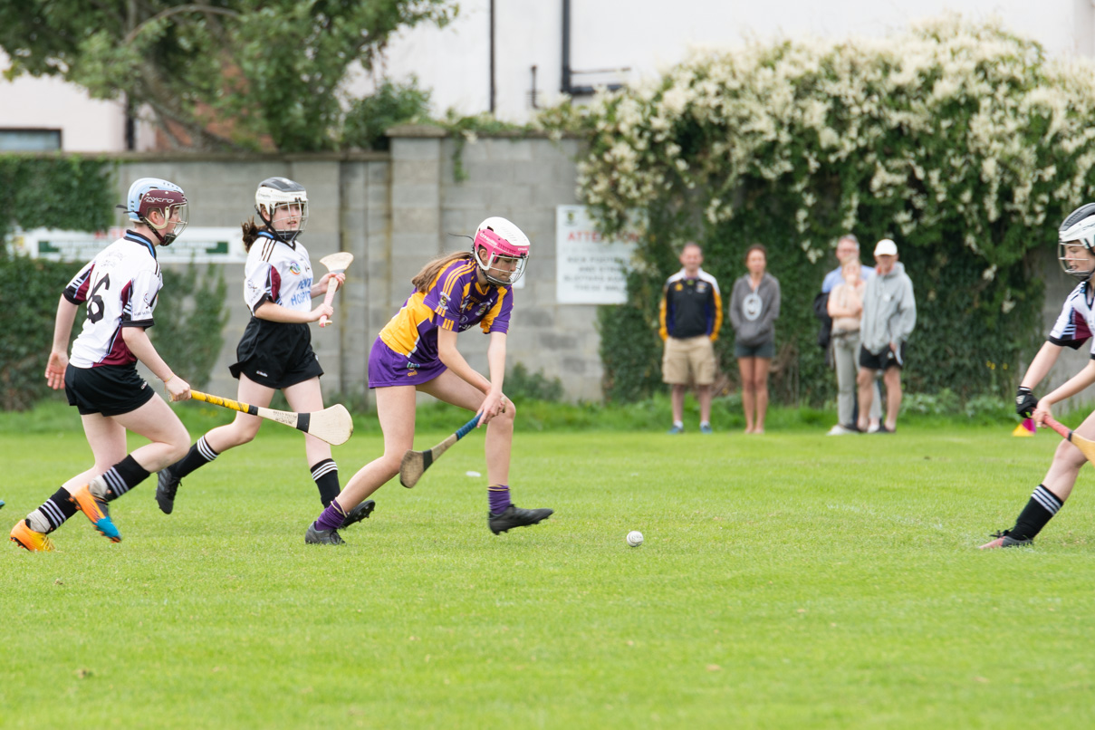 Camogie U15 Division 2 League  Kilmacud Crokes Versus Good Counsel