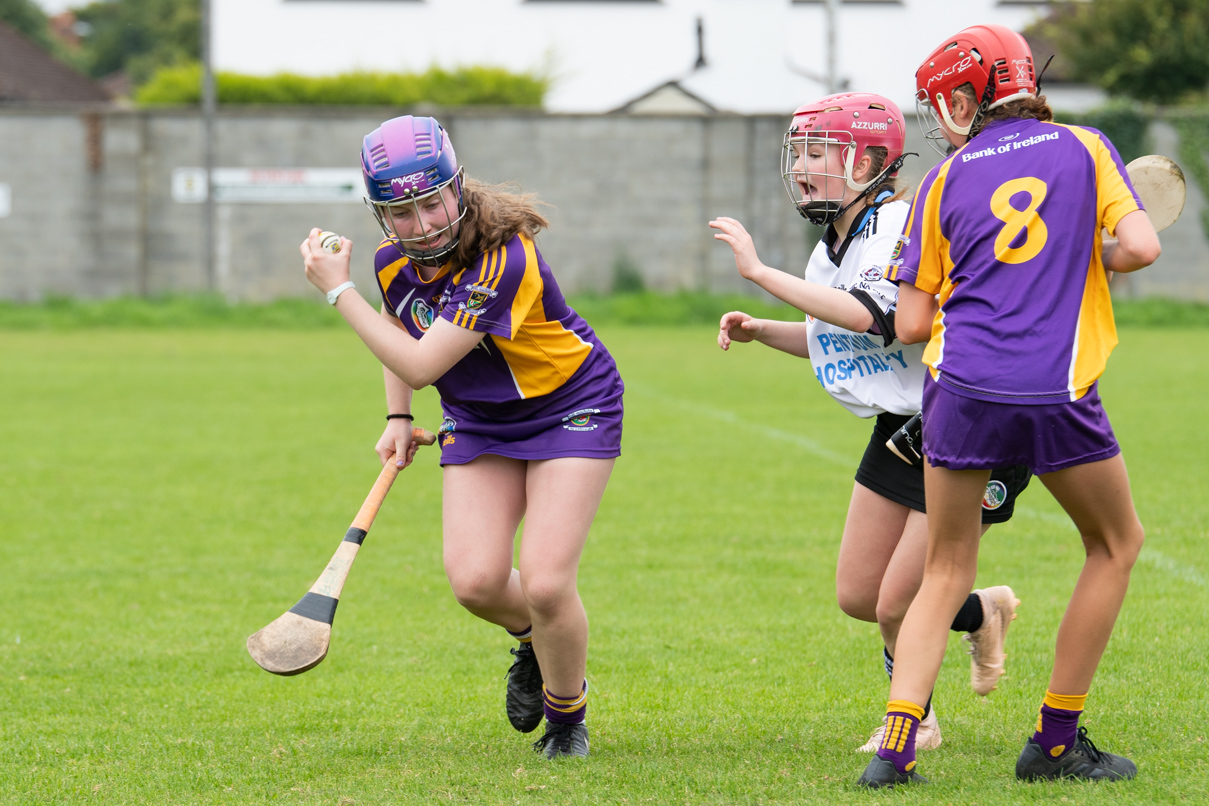 Camogie U15 Division 2 League  Kilmacud Crokes Versus Good Counsel