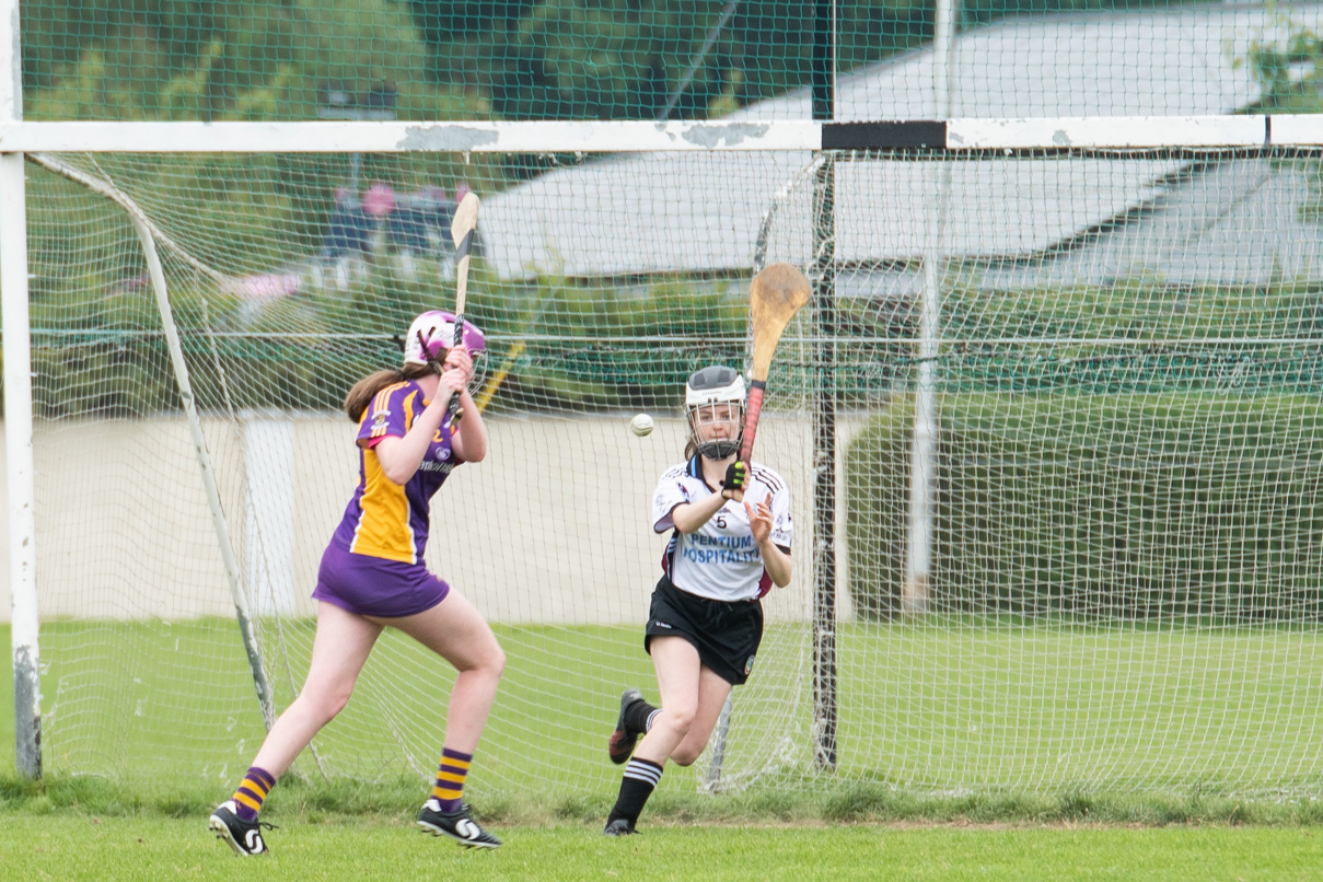 Camogie U15 Division 2 League  Kilmacud Crokes Versus Good Counsel