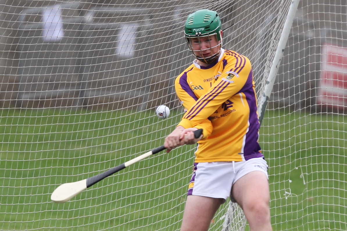 Junior B Hurlers through to Quarter Finals with win over St Finians