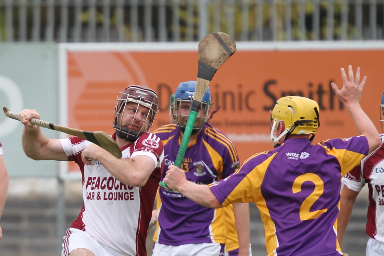 Junior B Hurlers through to Quarter Finals with win over St Finians