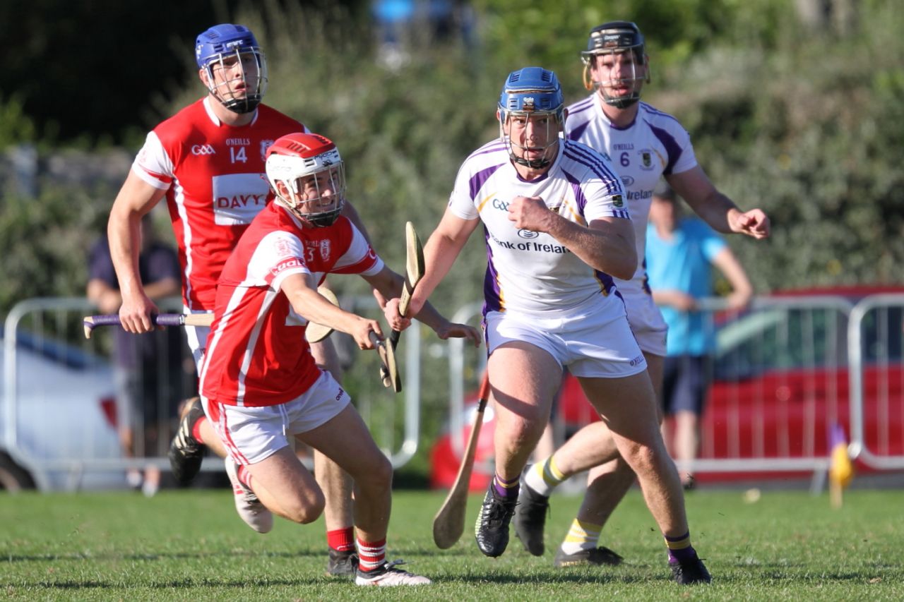 Senior B hurlers vs Cuala