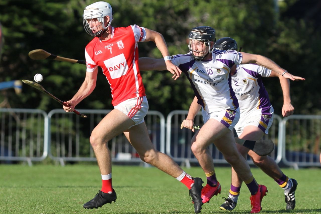 Senior B hurlers vs Cuala