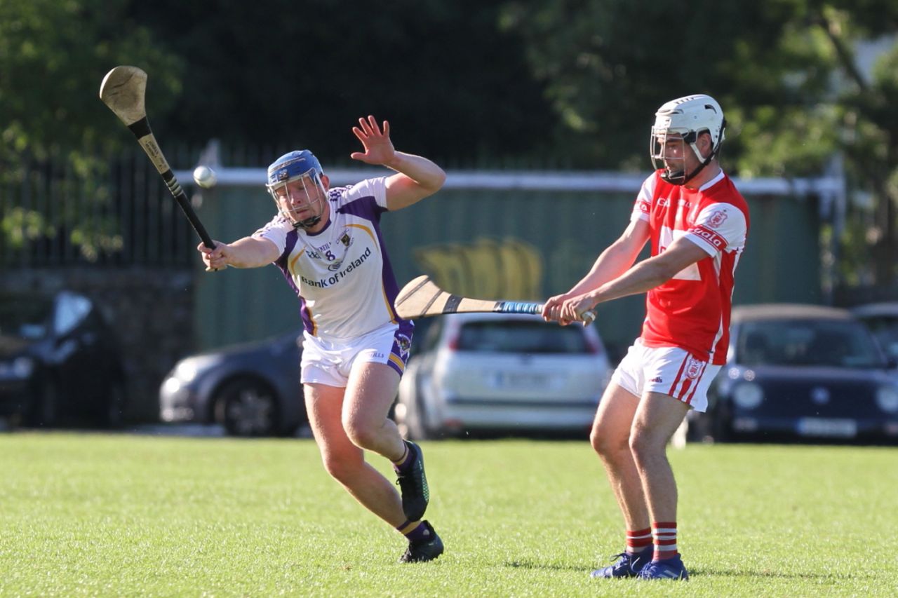 Senior B hurlers vs Cuala