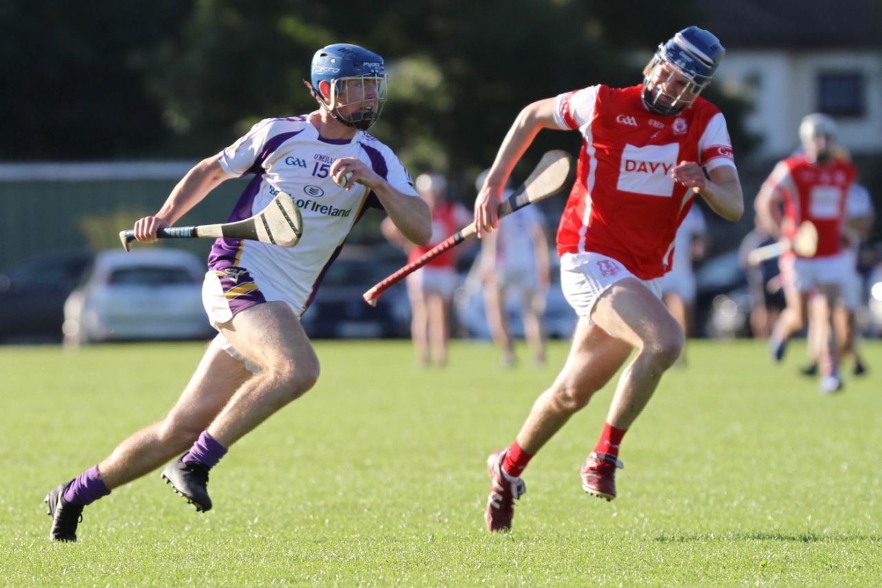 Senior B hurlers vs Cuala