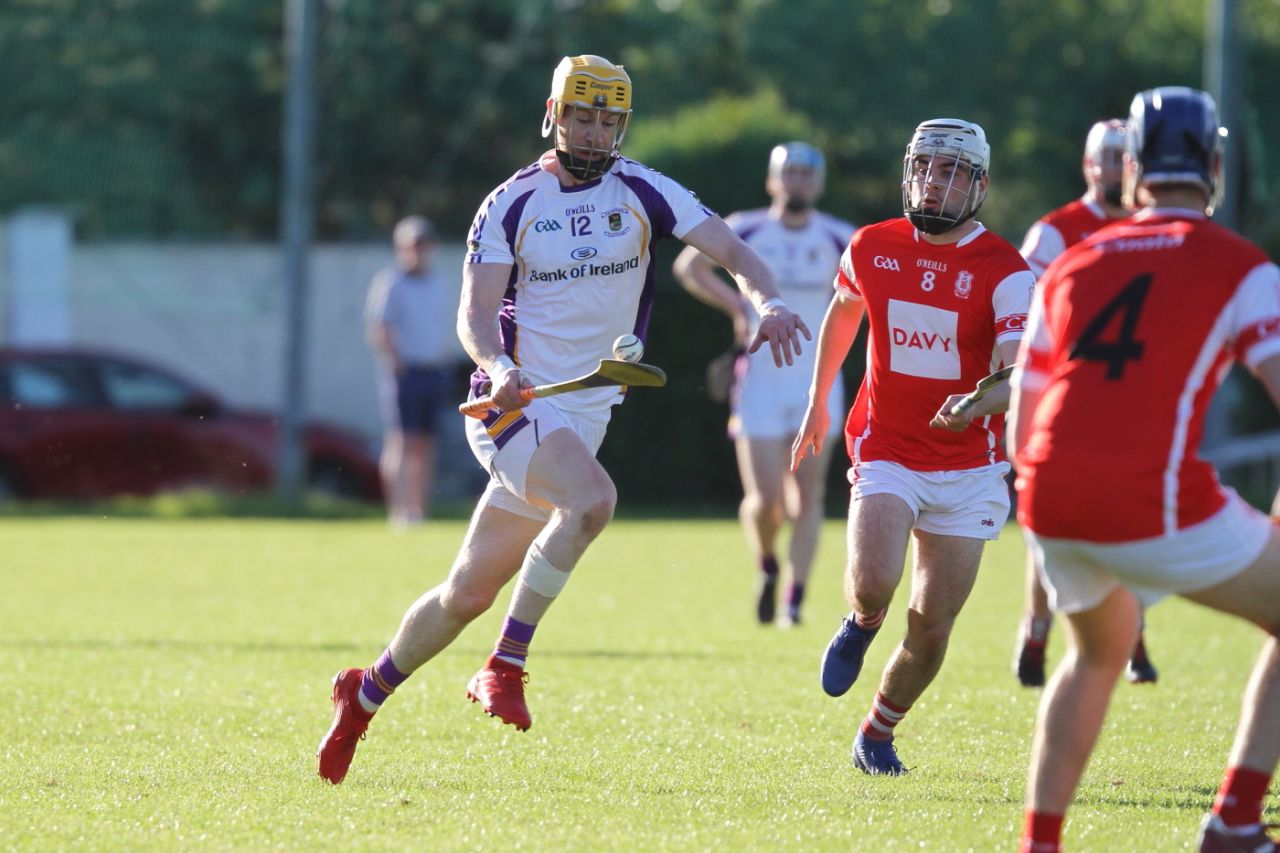 Senior B hurlers vs Cuala