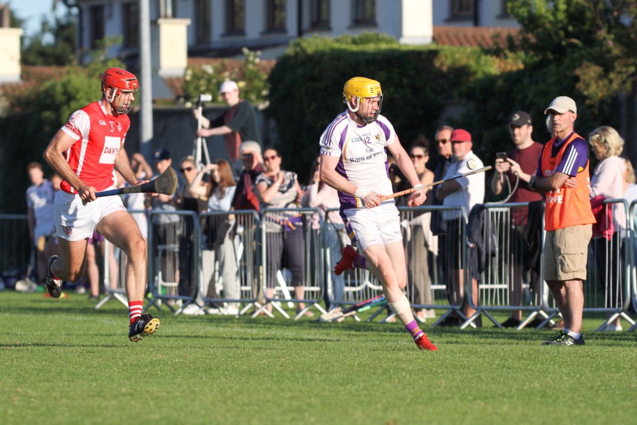 Senior B hurlers vs Cuala