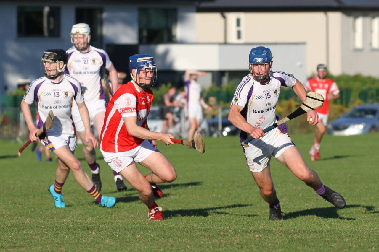 Senior B hurlers vs Cuala