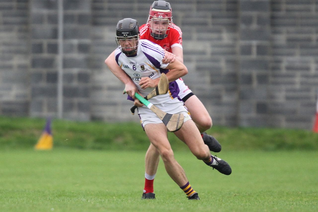 Good win for Minor A hurlers over Fingallians