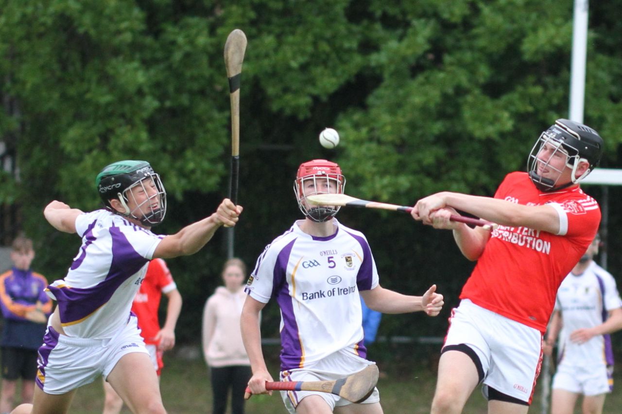 Good win for Minor A hurlers over Fingallians