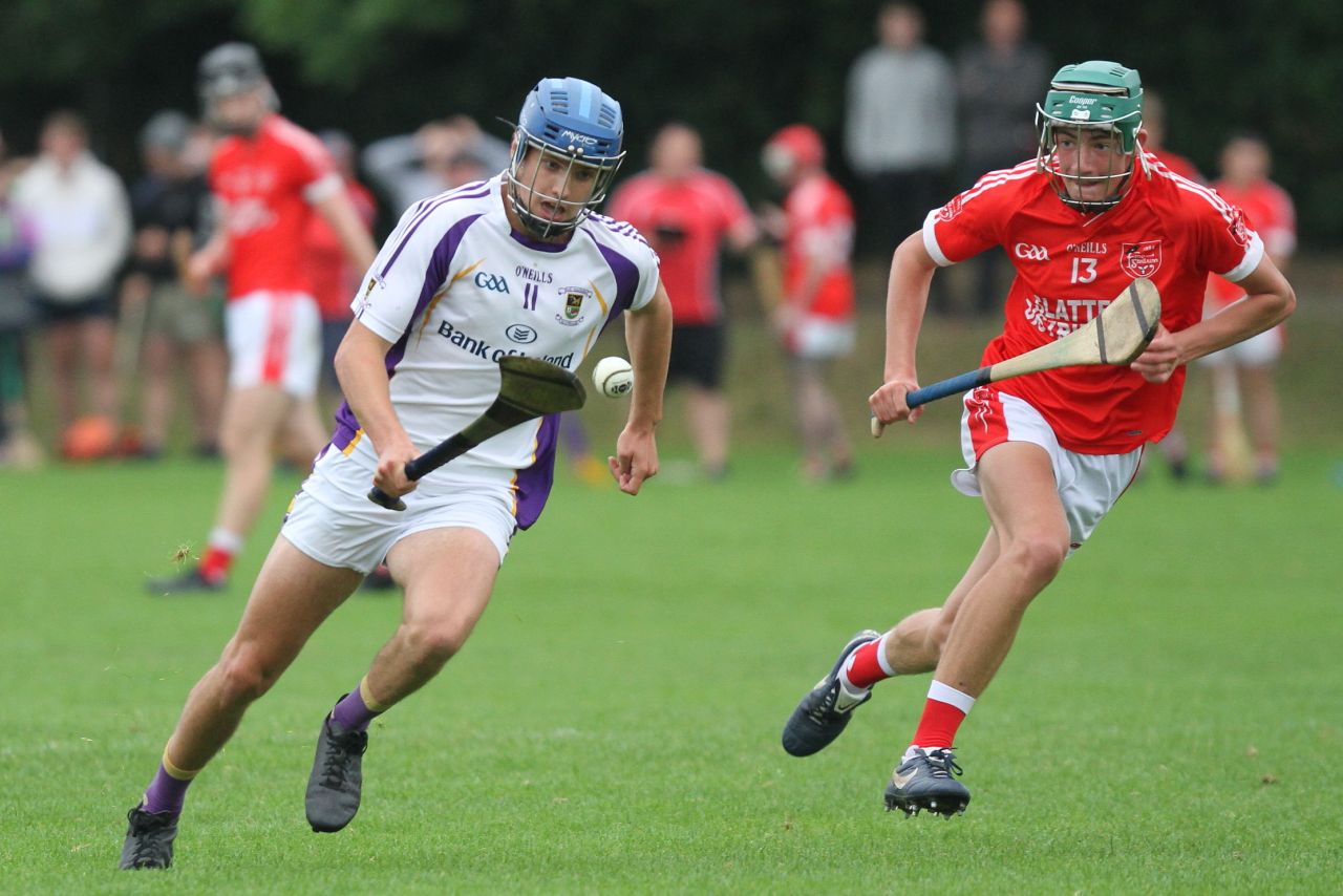 Good win for Minor A hurlers over Fingallians