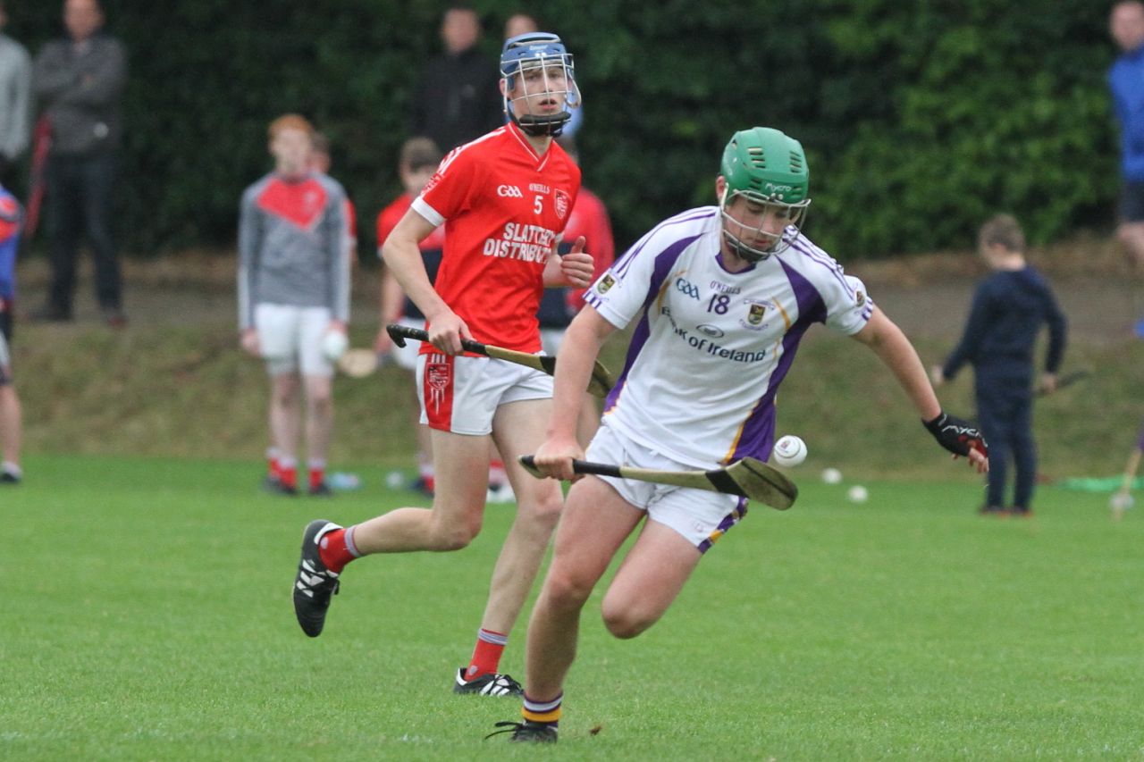 Good win for Minor A hurlers over Fingallians