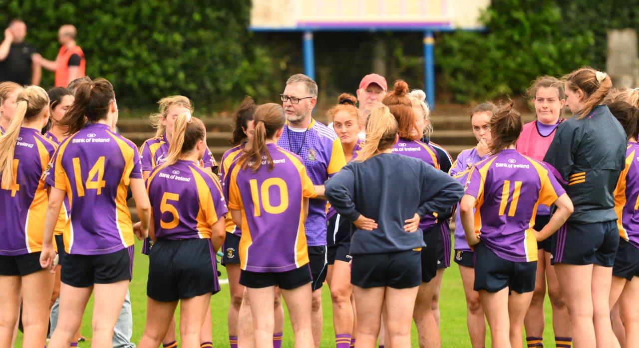 Ladies Football - Senior Championship Semi Final Kilmacud Crokes Versus Na Fianna