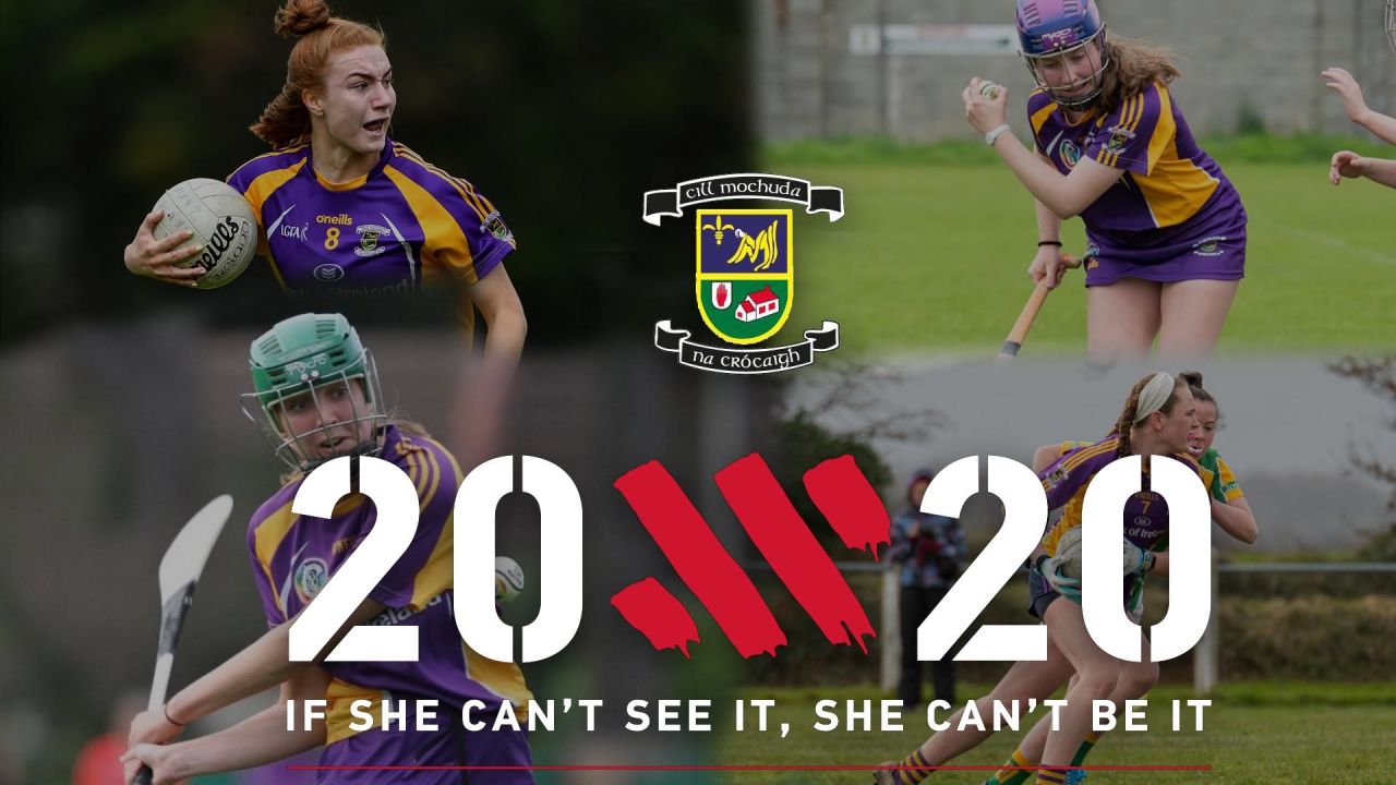 Crokes Beyond 20x20   - If She Can't See It