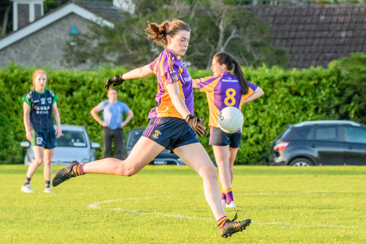 Ladies Football Go Ahead Adult Cup Div 1B  Kilmacud Crokes Versus Fox Cab