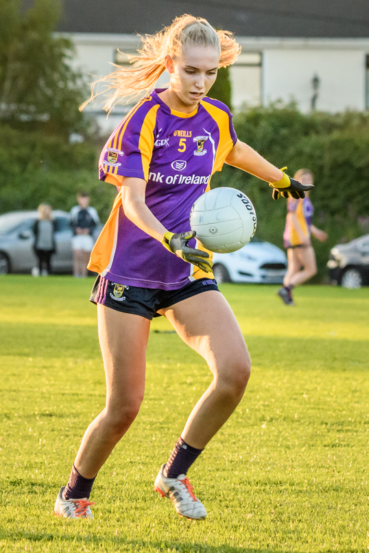 Ladies Football Go Ahead Adult Cup Div 1B  Kilmacud Crokes Versus Fox Cab