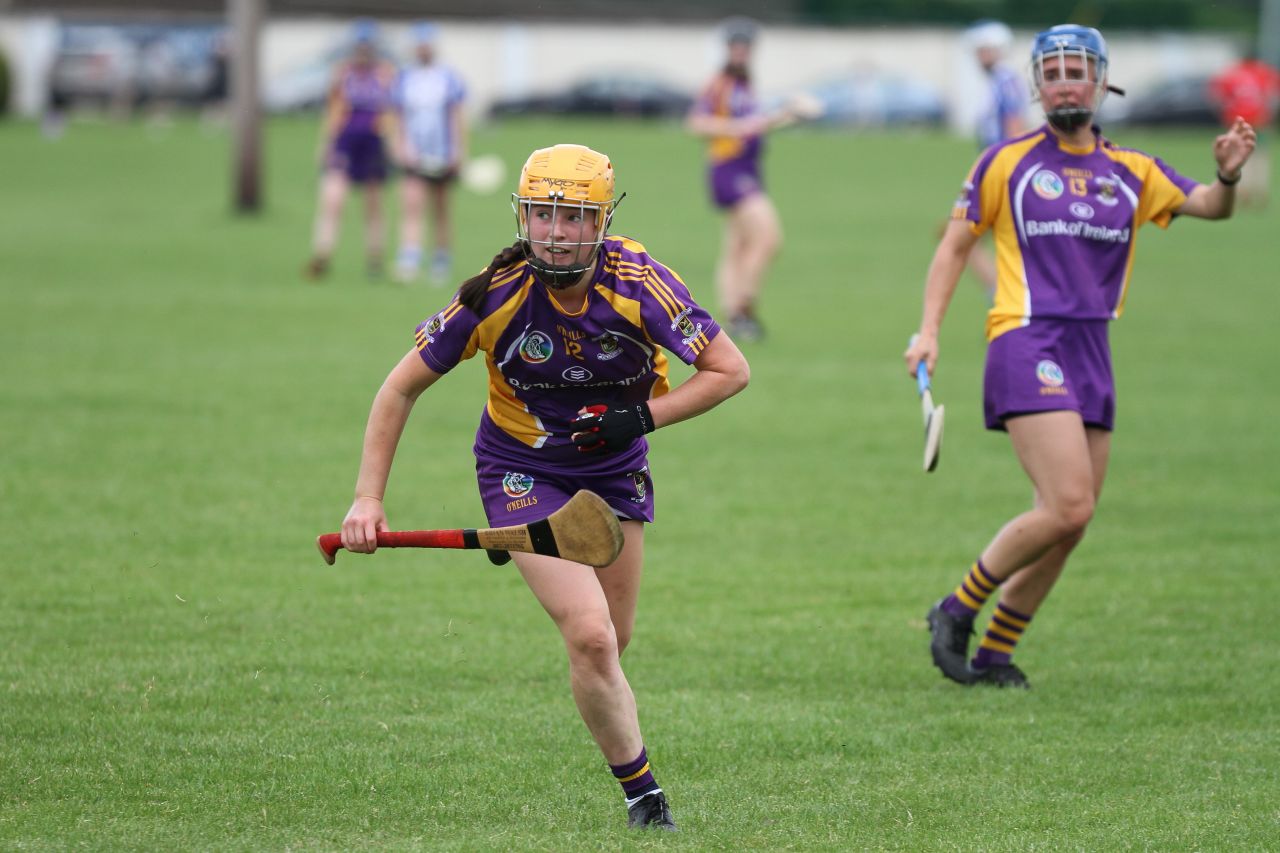 Senior 1 vs Ballyboden in Camogie Go-Ahead