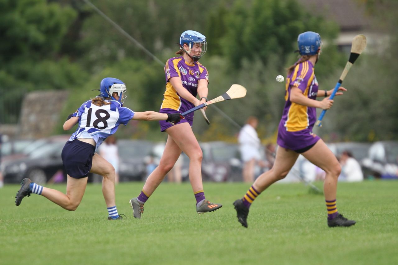 Senior 1 vs Ballyboden in Camogie Go-Ahead