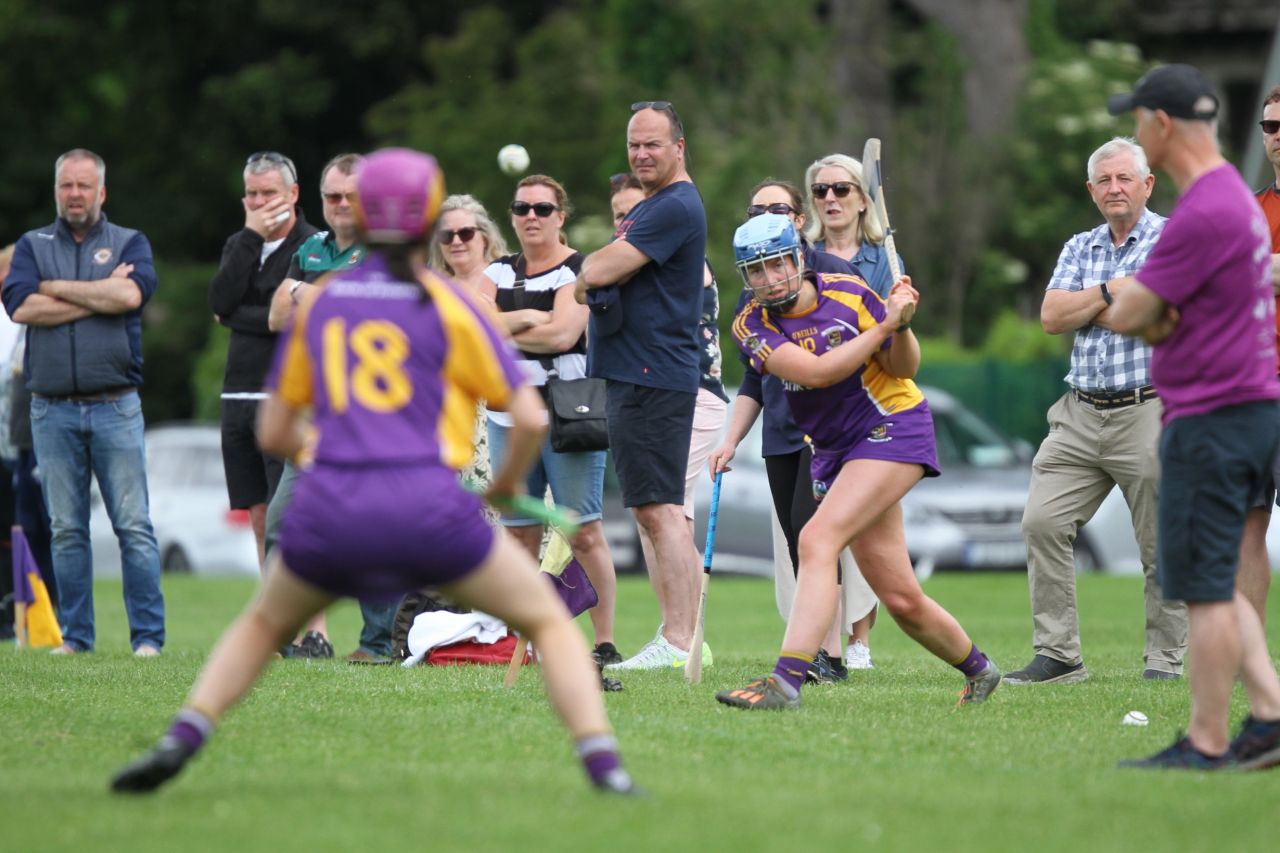 Senior 1 vs Ballyboden in Camogie Go-Ahead