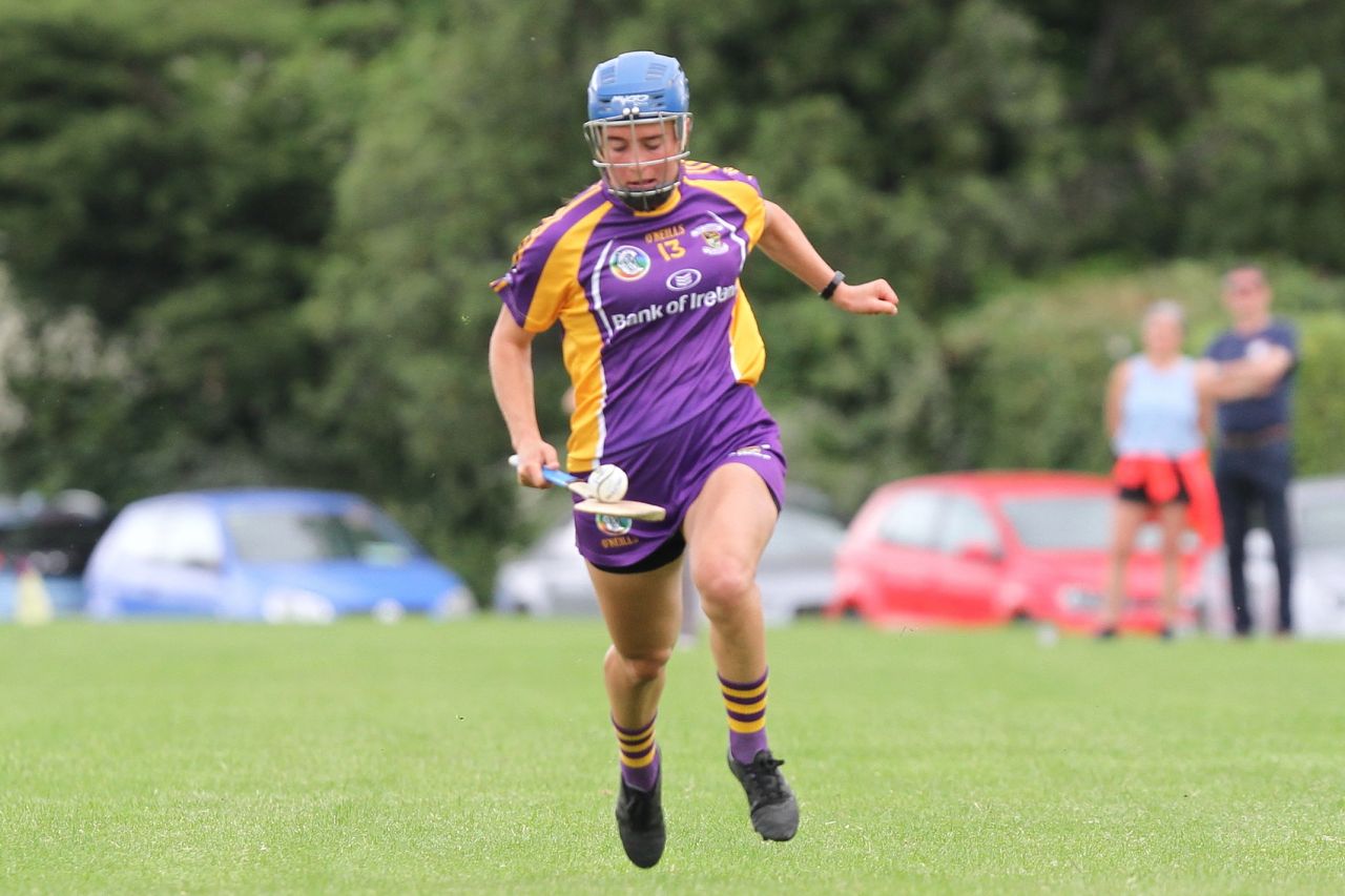 Senior 1 vs Ballyboden in Camogie Go-Ahead