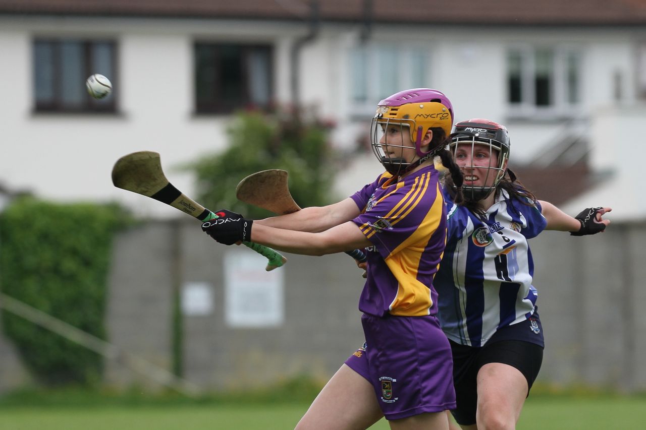 Senior 1 vs Ballyboden in Camogie Go-Ahead