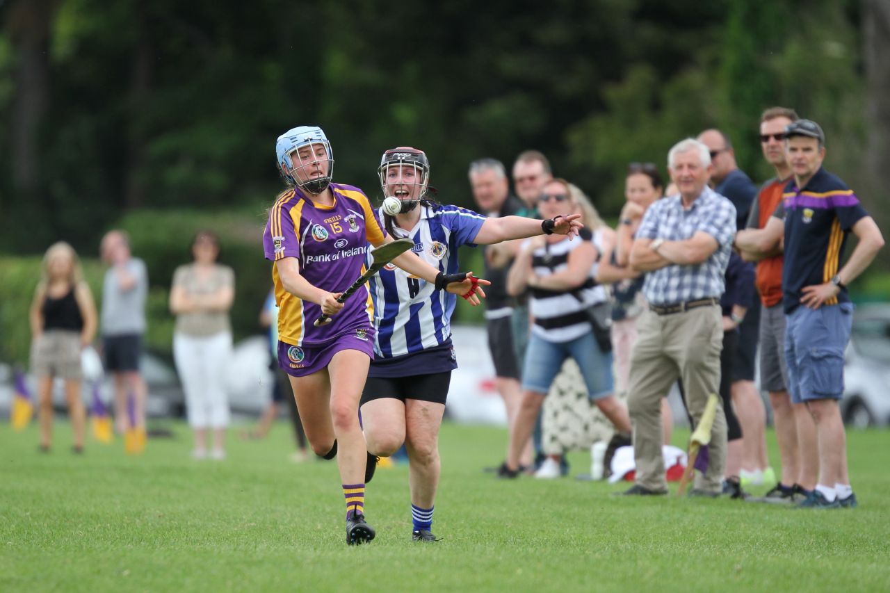 Senior 1 vs Ballyboden in Camogie Go-Ahead