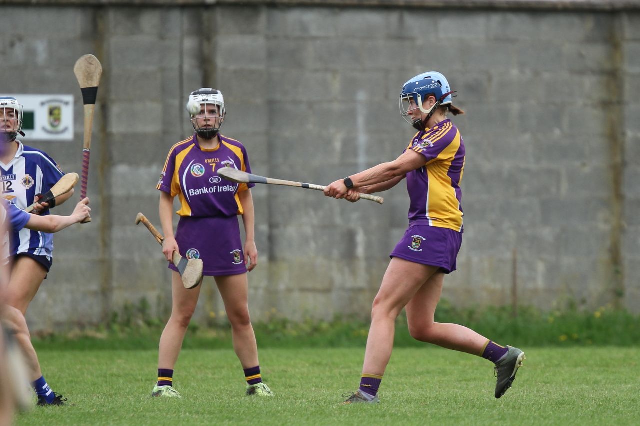 Senior 1 vs Ballyboden in Camogie Go-Ahead