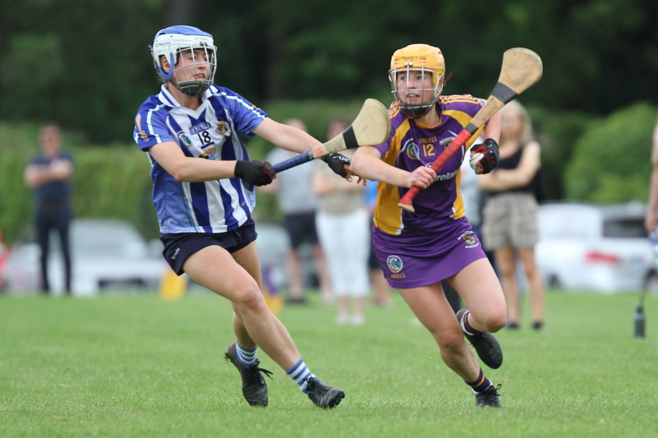 Senior 1 vs Ballyboden in Camogie Go-Ahead