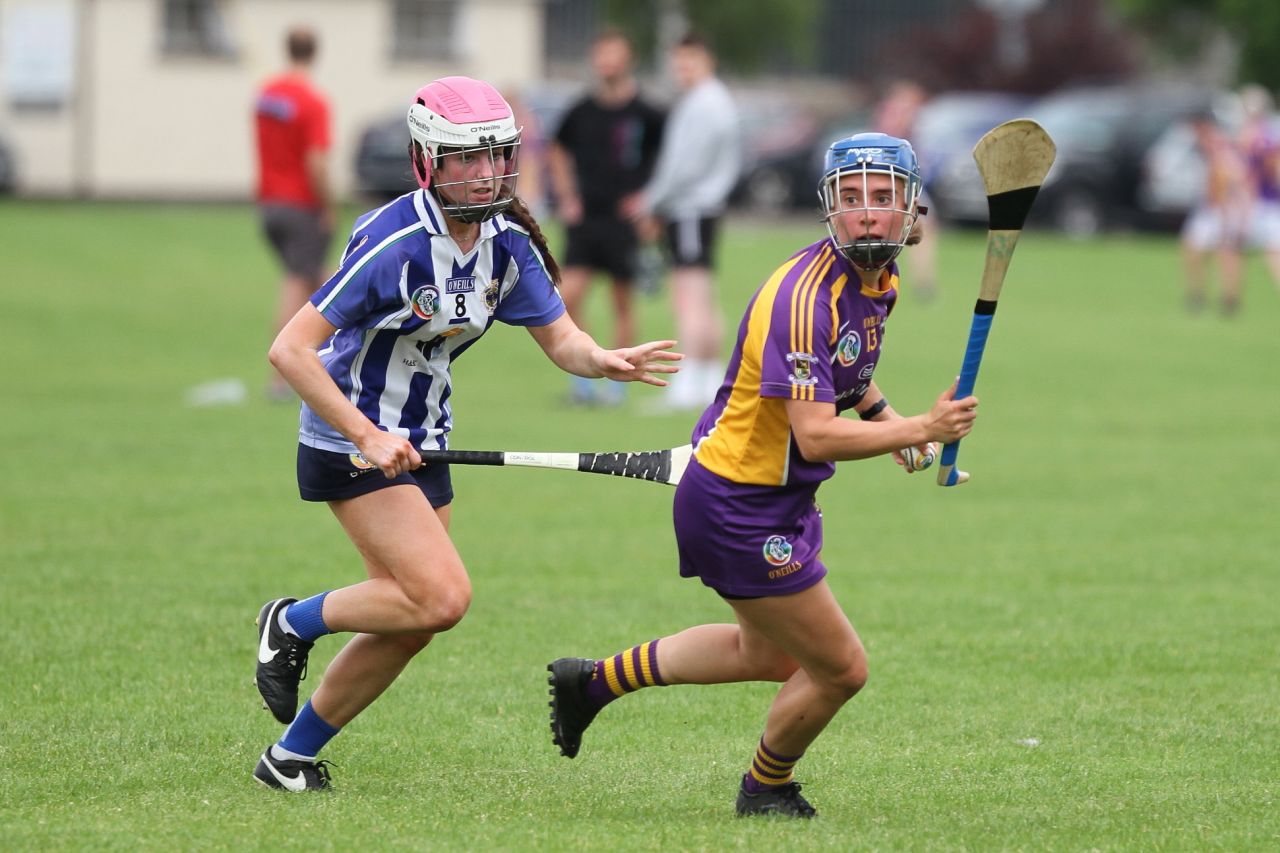 Senior 1 vs Ballyboden in Camogie Go-Ahead