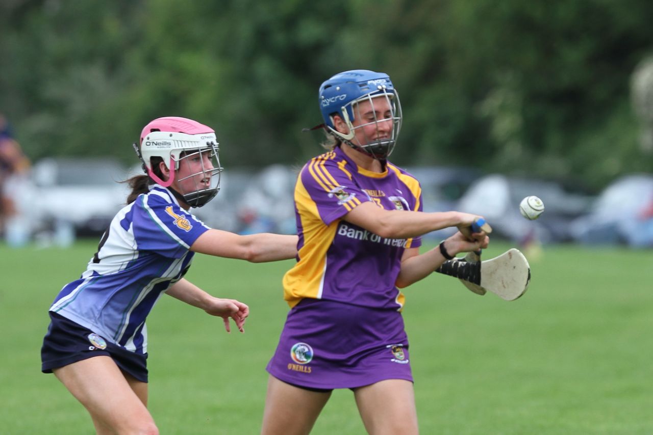 Senior 1 vs Ballyboden in Camogie Go-Ahead