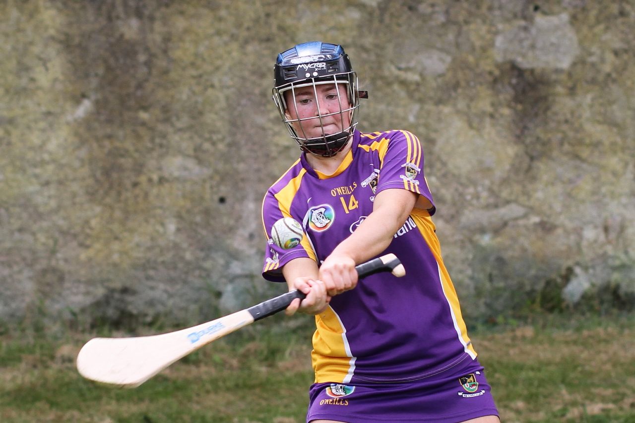 Senior 1 vs Ballyboden in Camogie Go-Ahead