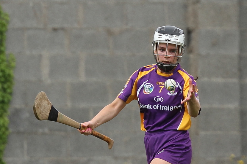 Senior 1 vs Ballyboden in Camogie Go-Ahead