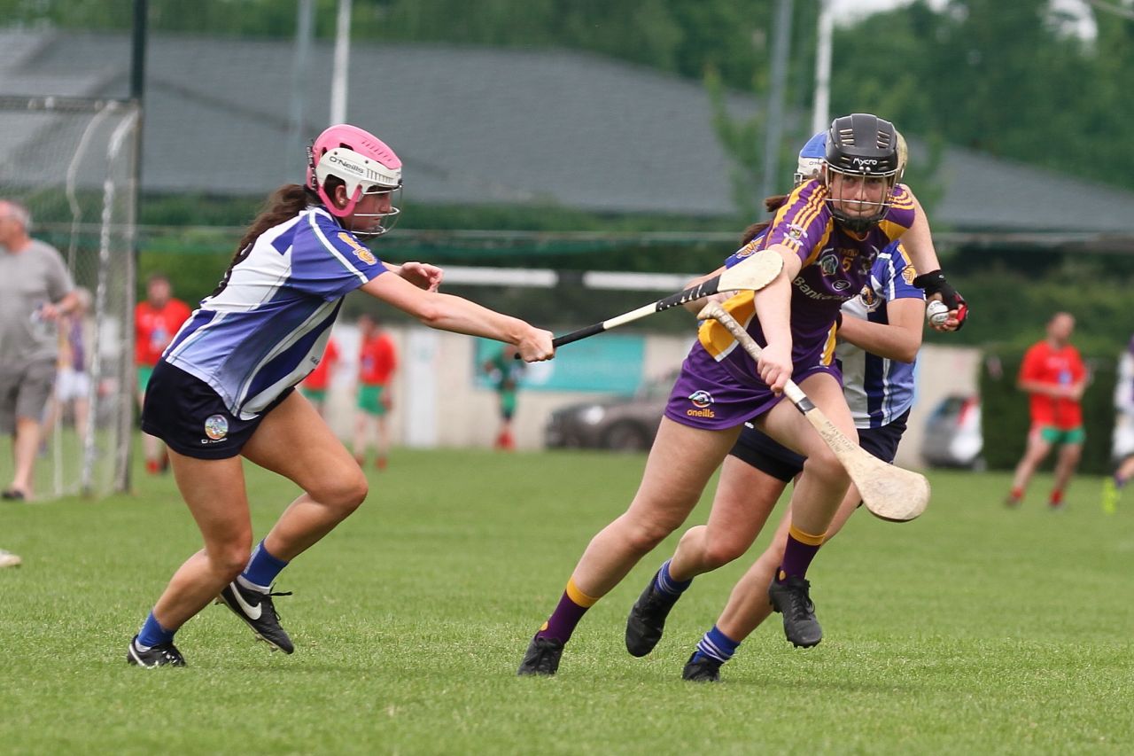 Senior 1 vs Ballyboden in Camogie Go-Ahead