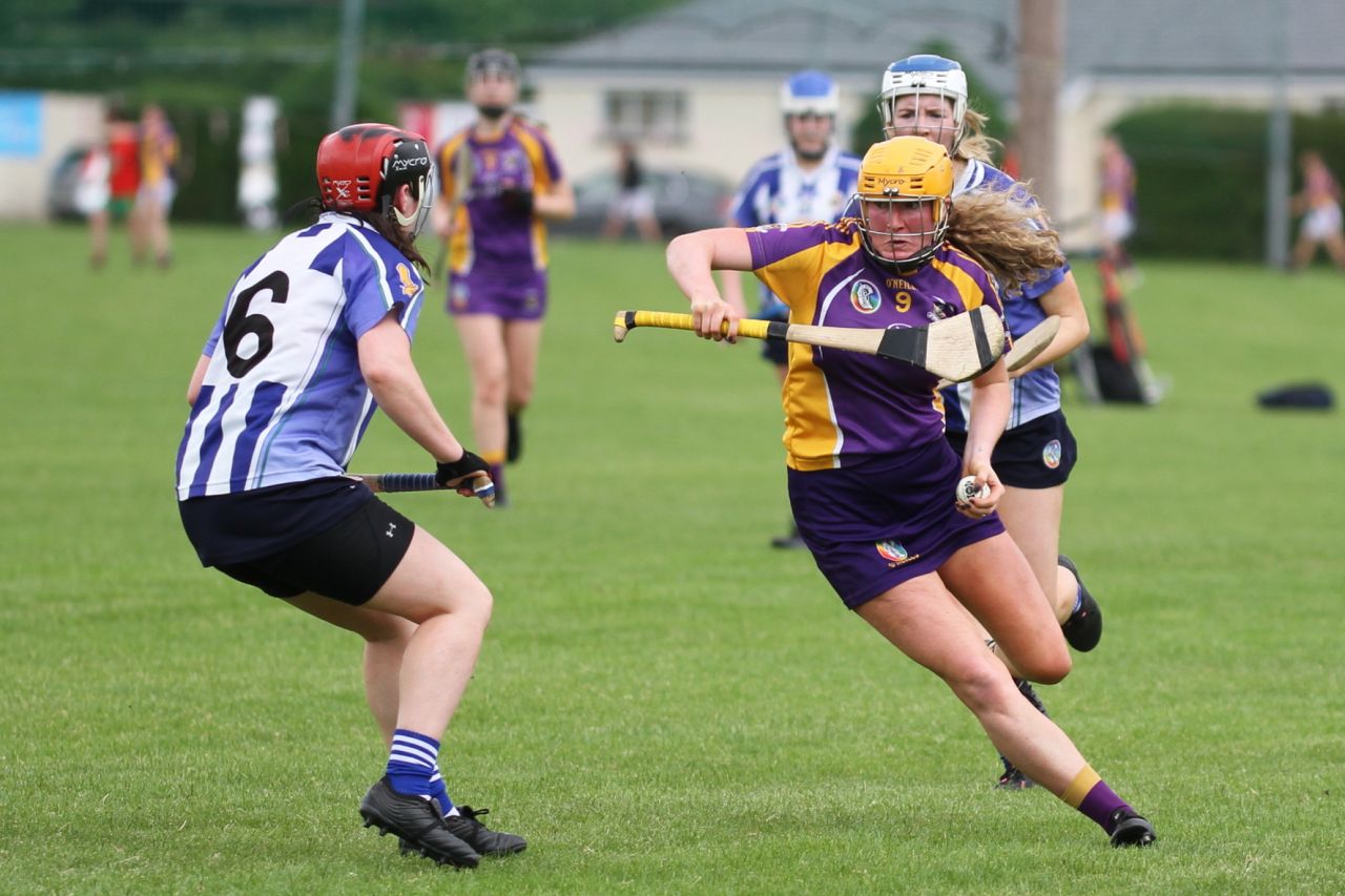 Senior 1 vs Ballyboden in Camogie Go-Ahead