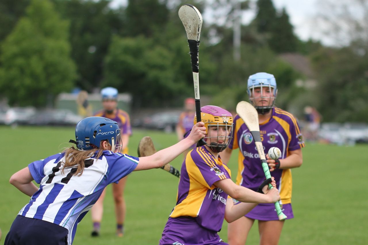 Senior 1 vs Ballyboden in Camogie Go-Ahead