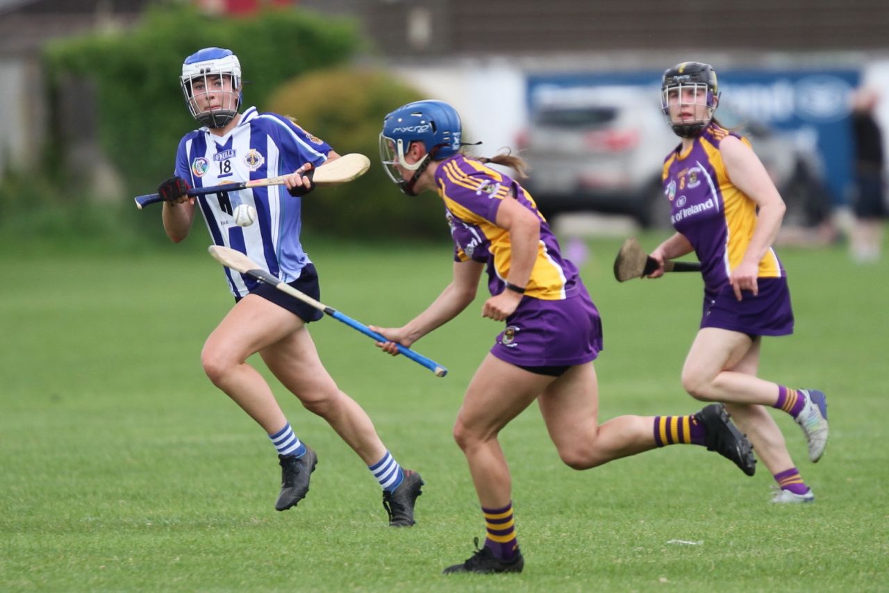 Senior 1 vs Ballyboden in Camogie Go-Ahead