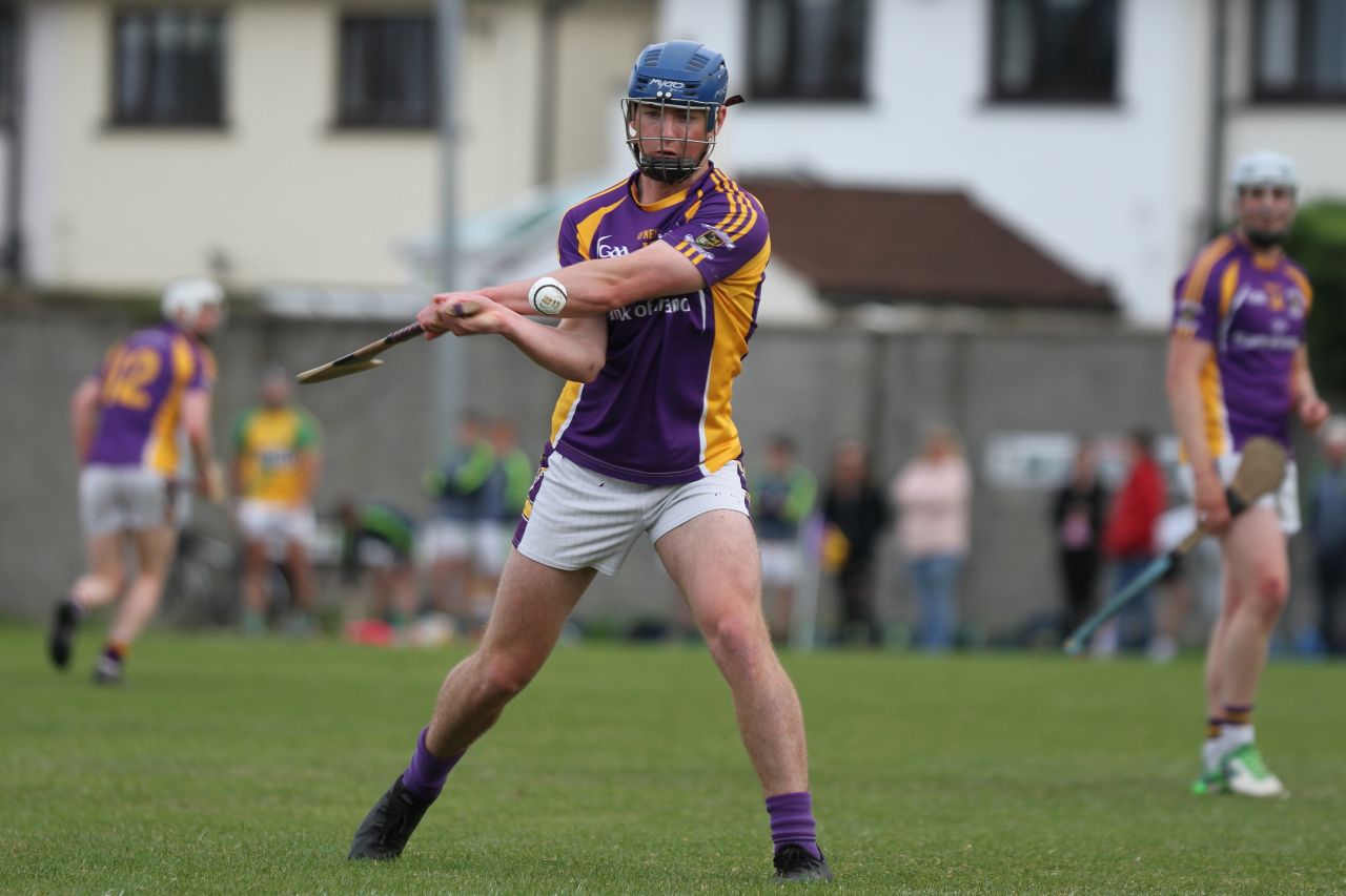 Go Ahead Adult Hurling League Division One South vs Faughs