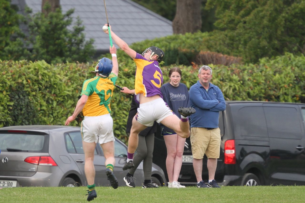 Go Ahead Adult Hurling League Division One South vs Faughs