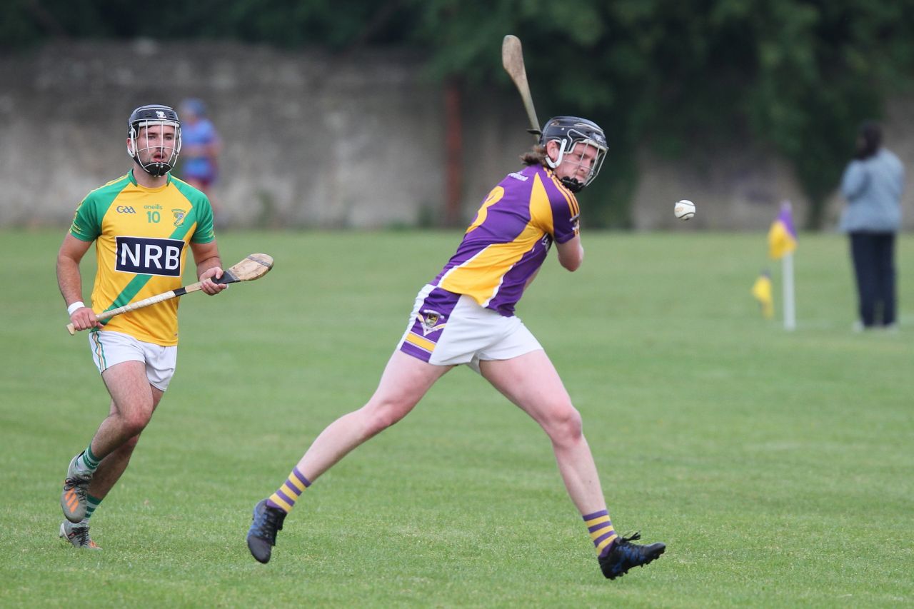 Go Ahead Adult Hurling League Division One South vs Faughs