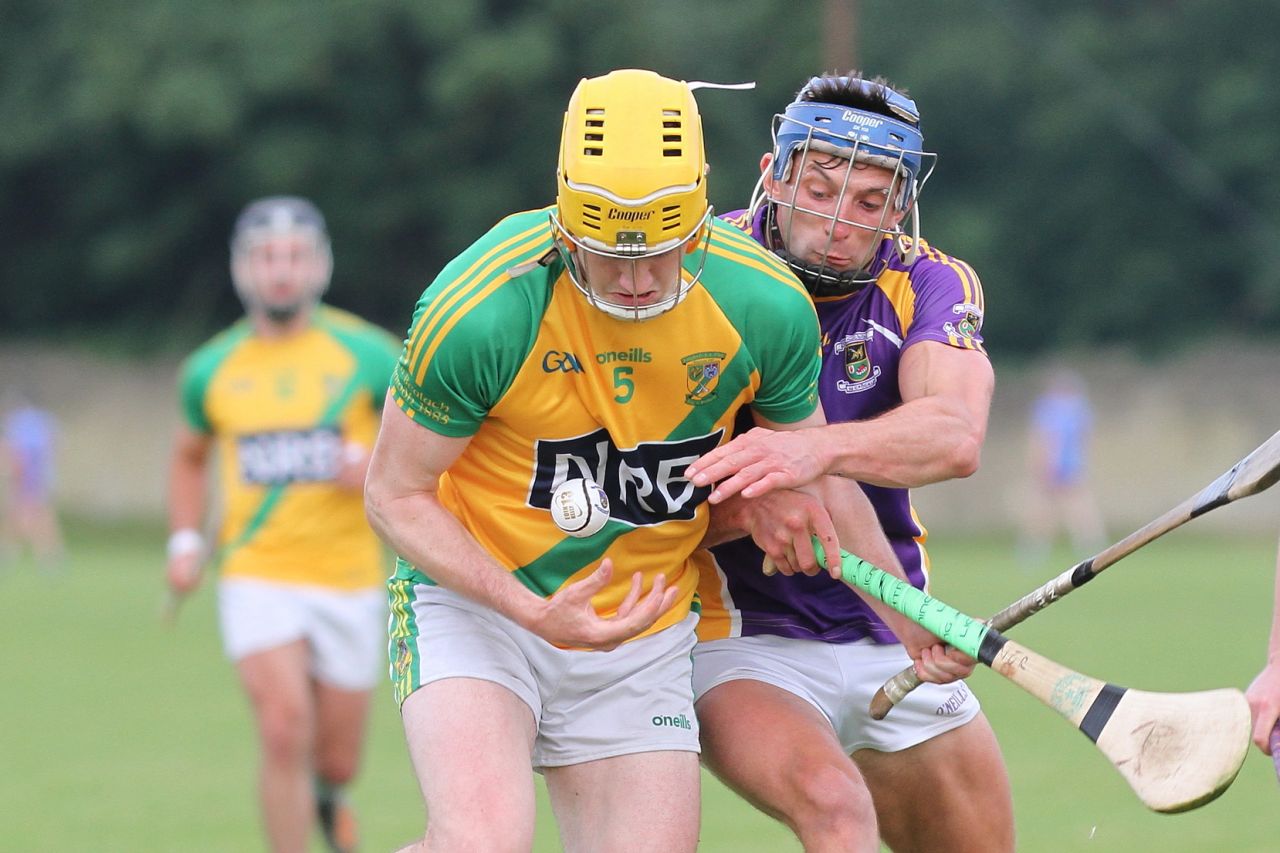 Go Ahead Adult Hurling League Division One South vs Faughs