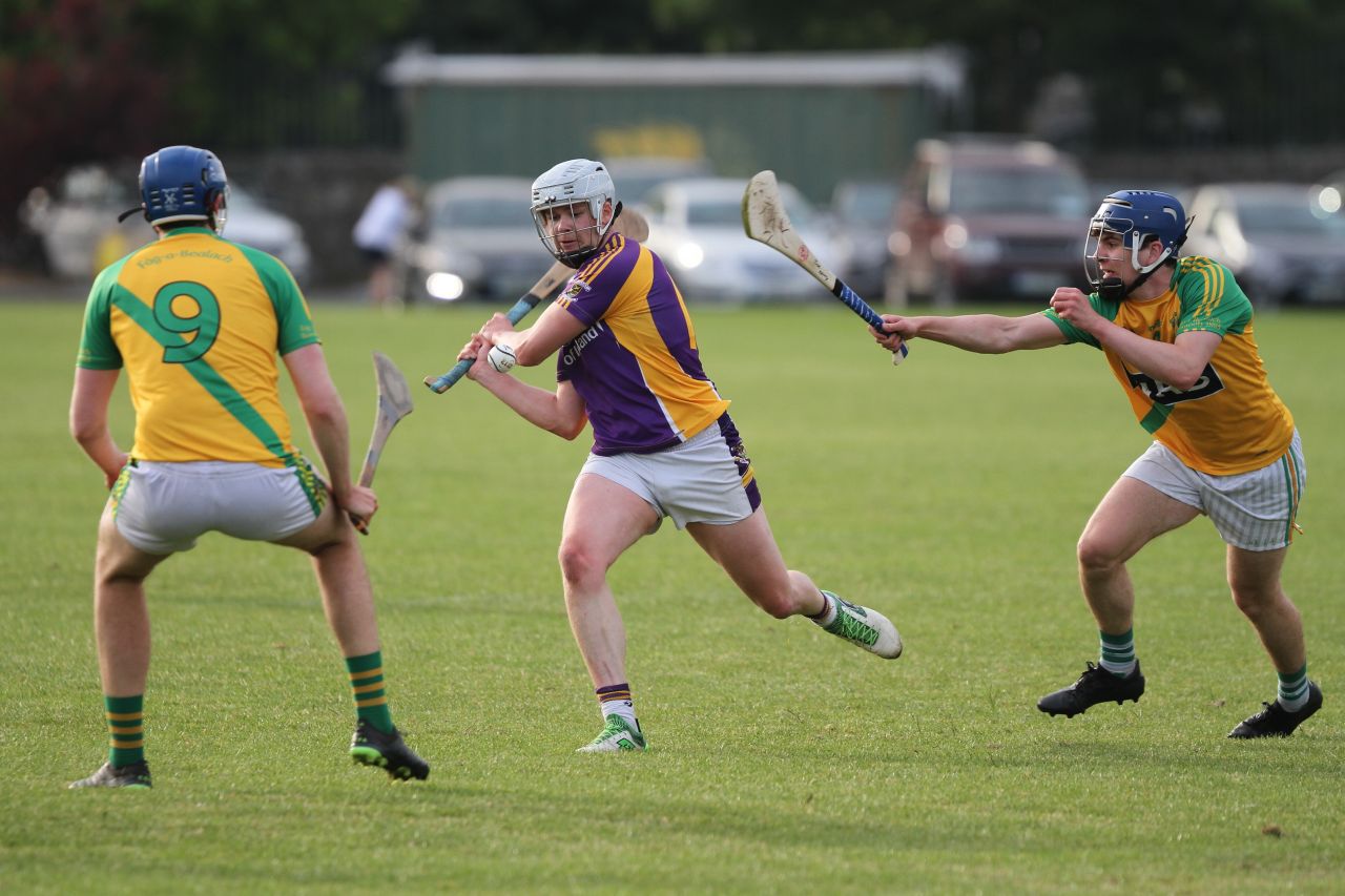 Go Ahead Adult Hurling League Division One South vs Faughs