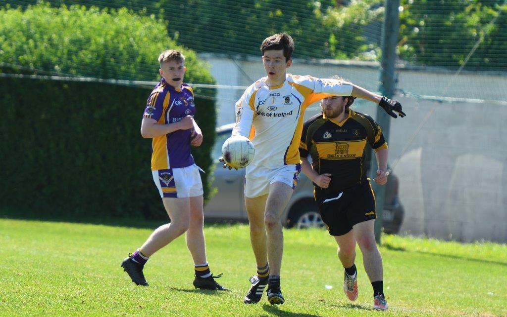 Go Ahead Adult Football League Division Eleven South Group 1  Kilmacud Crokes Versus  Geraldines