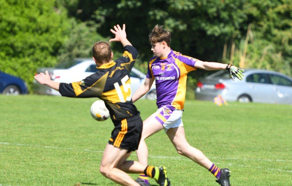 Go Ahead Adult Football League Division Eleven South Group 1  Kilmacud Crokes Versus  Geraldines