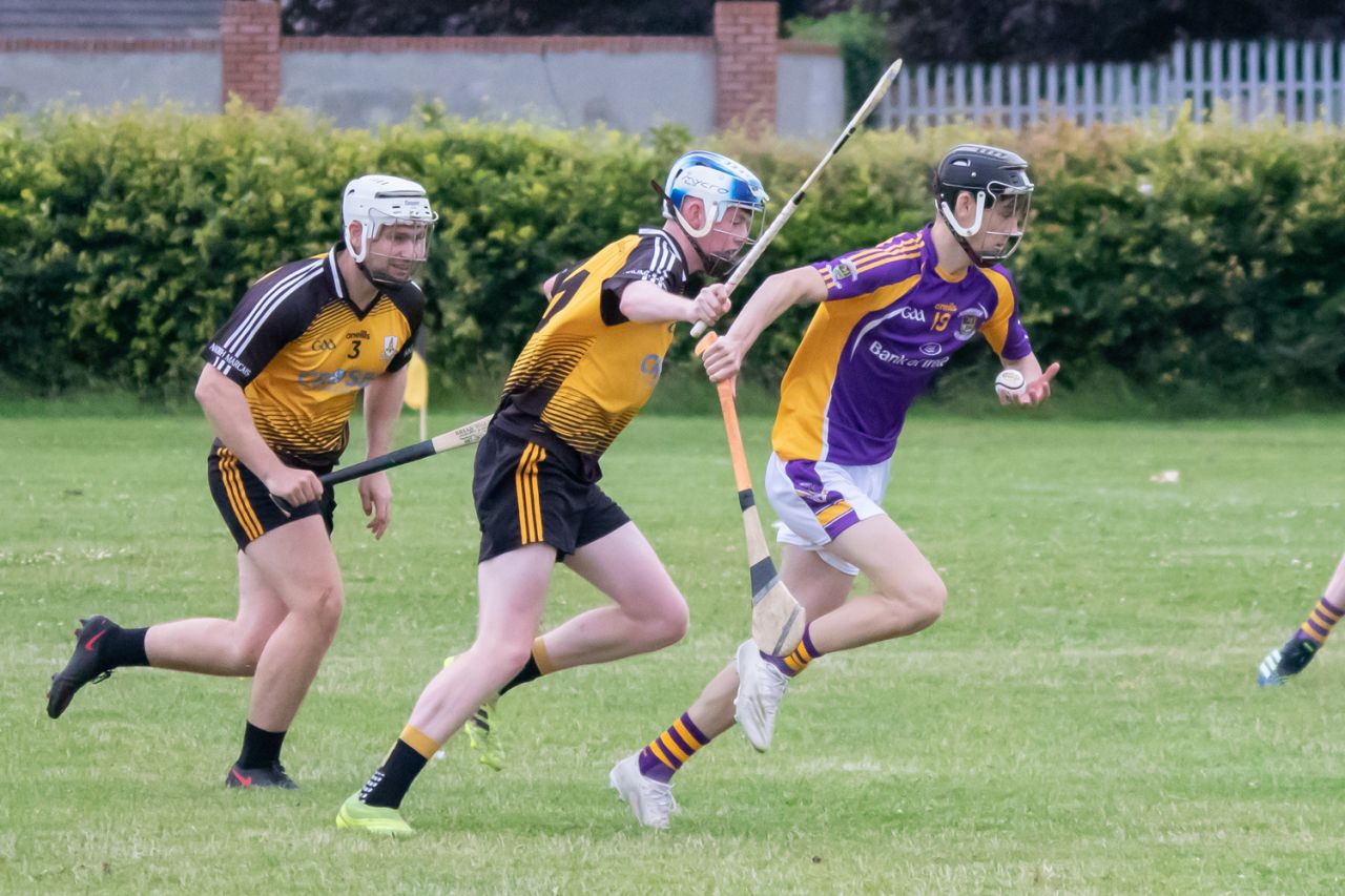 Go Ahead Adult Hurling League Division Three South  Kilmacud Crokes Versus St Marks