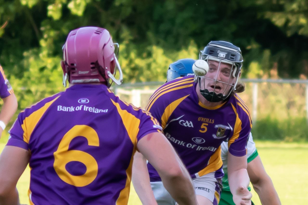 Go Ahead Adult Hurling League Division One South  Lucan Versus Kilmacud Crokes