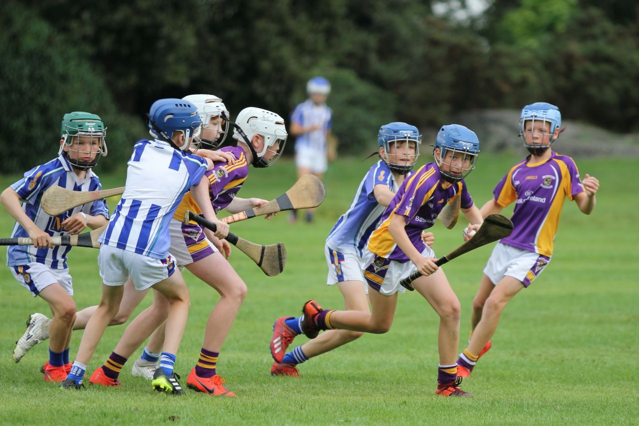 U12 Hurlers vs Ballyboden