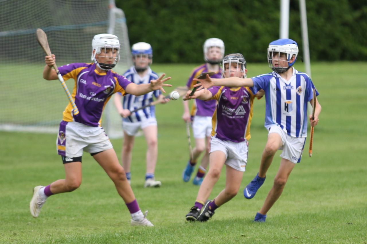 U12 Hurlers vs Ballyboden