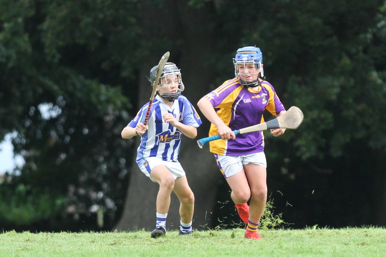 U12 Hurlers vs Ballyboden